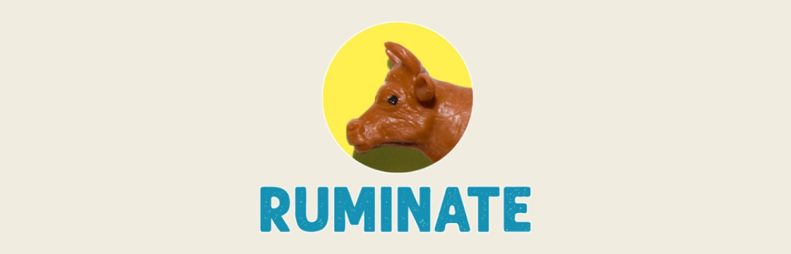 Ruminate