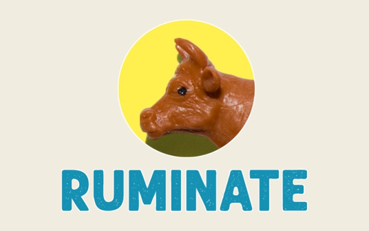 Ruminate two-sided marketplace product strategy